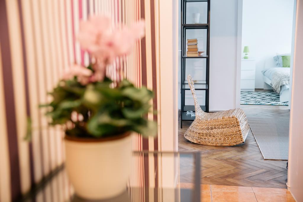 Neo Apartment Horea Kluż-Napoka Zewnętrze zdjęcie