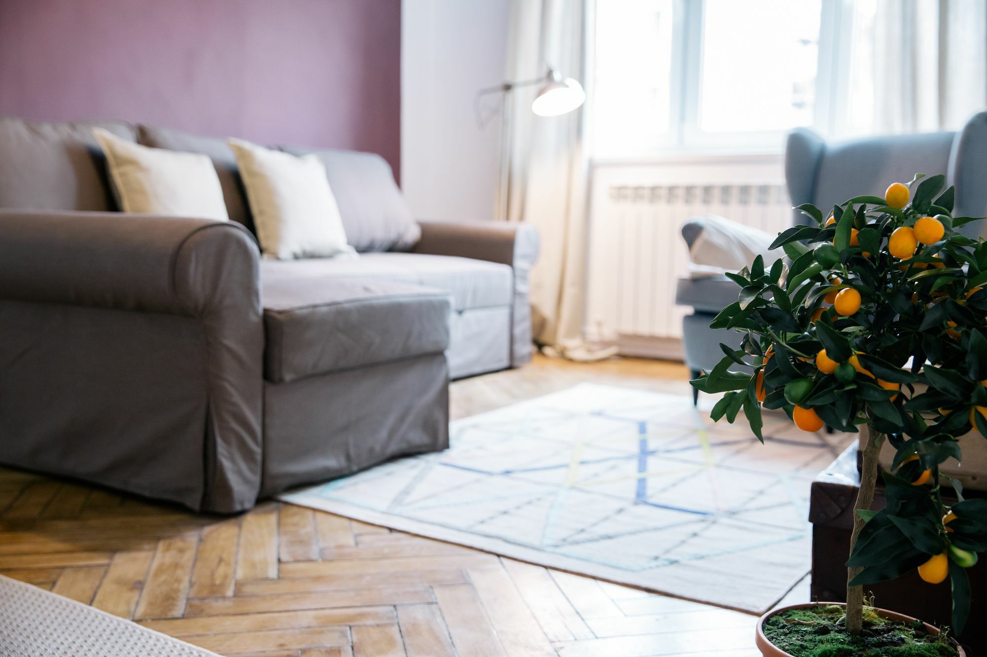 Neo Apartment Horea Kluż-Napoka Zewnętrze zdjęcie
